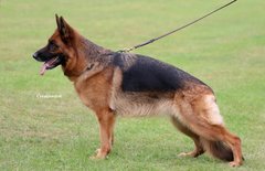 Marinita Kayleigh age 3yrs